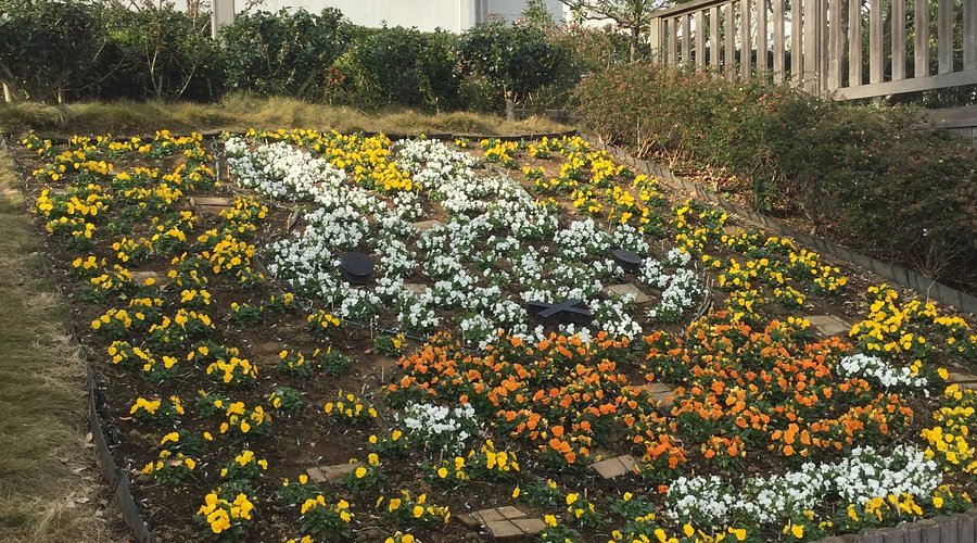 🏞️ 히가시시나가와 해상공원(히가시시나가와카이조코엔) 이미지 8